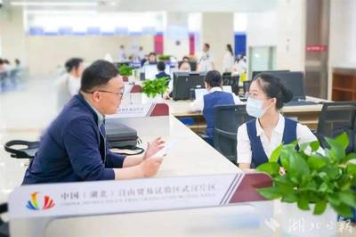 光谷率先設(shè)立全國首個(gè)低空經(jīng)濟(jì)服務(wù)窗口，提供專業(yè)經(jīng)濟(jì)信息咨詢